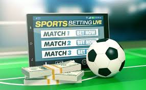 Betwinner Your Ultimate Betting Experience -637285013